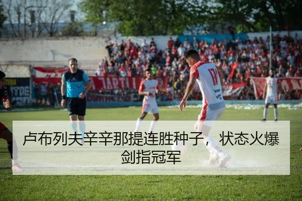 卢布列夫辛辛那提连胜种子，状态火爆剑指冠军