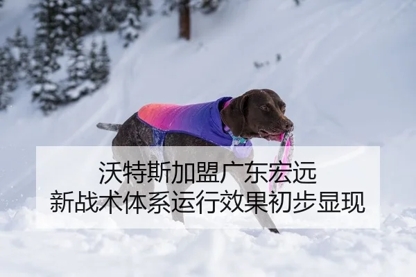 沃特斯加盟广东宏远 新战术体系运行效果初步显现
